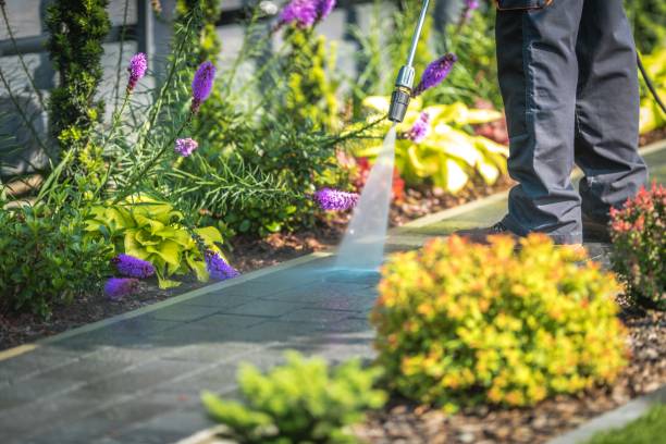 Best Restaurant Pressure Washing  in Dundee, OR